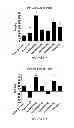 Fig. 12 - Use Of Mesenchymal Stem Cells For The Improvement Of Affective And Cognitive Function