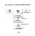 Fig. 02 - Ceramic biocomposite for bone regeneration