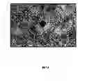 Fig. 05 - Ceramic biocomposite for bone regeneration