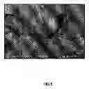 Fig. 06 - Ceramic biocomposite for bone regeneration