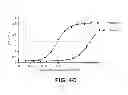 Fig. 07 - Humanized antibodies specific to the protofibrillar form of the beta-amyloid peptide