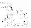 Fig. 02 - TREATMENT OF SOLID TUMORS WITH RAPAMYCIN DERIVATIVES