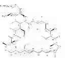 Fig. 04 - TREATMENT OF SOLID TUMORS WITH RAPAMYCIN DERIVATIVES