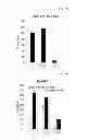 Fig. 15 - Use of Cbl as biomarker for identifying subject suitable for treatment with anti-c-Met antibody