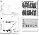 Fig. 01 - Modulators of Plexin B2 activity
