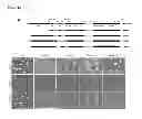 Fig. 13 - Modulators of Plexin B2 activity