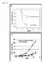 Fig. 16 - Modulators of Plexin B2 activity
