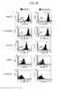 Fig. 09 - Methods of treating autoimmune disease with anti-CD40 antibodies