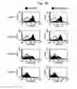 Fig. 10 - Methods of treating autoimmune disease with anti-CD40 antibodies