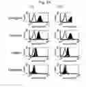 Fig. 25 - Methods of treating autoimmune disease with anti-CD40 antibodies