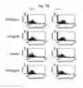 Fig. 26 - Methods of treating autoimmune disease with anti-CD40 antibodies