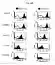 Fig. 27 - Methods of treating autoimmune disease with anti-CD40 antibodies