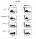 Fig. 28 - Methods of treating autoimmune disease with anti-CD40 antibodies
