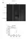 Fig. 09 - Methods for treating prostate cancer