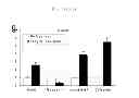 Fig. 10 - Methods for treating prostate cancer