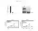 Fig. 14 - Methods for treating prostate cancer