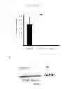 Fig. 26 - Methods for treating prostate cancer