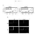 Fig. 27 - Methods for treating prostate cancer