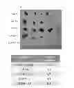 Fig. 37 - Methods for treating prostate cancer