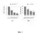 Fig. 08 - Method Of Treatment Of Vascular Complications