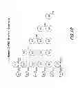 Fig. 14 - Human C-FMS antibodies