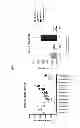 Fig. 52 - Frizzled-binding agents and uses thereof