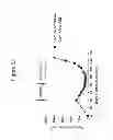 Fig. 53 - Frizzled-binding agents and uses thereof