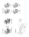 Fig. 58 - Frizzled-binding agents and uses thereof