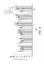 Fig. 04 - USE OF SARGASSUM CRISTAEFOLIUM EXTRACT