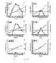 Fig. 07 - Hepatitis C virus particles, vaccines, compositions and methods related thereto