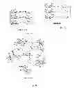 Fig. 08 - Multivalent [beta]-1-2-linked mannose oligosaccharides as immunostimulatory compounds and uses thereof