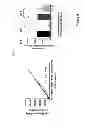 Fig. 06 - Method for enhancing immune response in the treatment of infectious and malignant diseases