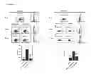 Fig. 06 - Opsonized β-glucan preparations and methods