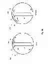 Fig. 06 - CARTILAGE CELL PROCESSING SYSTEM