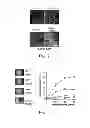Fig. 03 - Methods and compositions for modulating myofibroblast activities