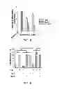 Fig. 04 - Methods and compositions for modulating myofibroblast activities