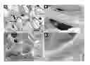 Fig. 01 - Biocompatible material and uses thereof