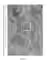 Fig. 14 - Biocompatible material and uses thereof