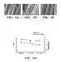 Fig. 02 - Sericin extracted fabrics