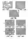 Fig. 22 - Sericin extracted fabrics