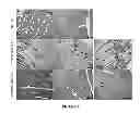 Fig. 08 - HYDROGELS FOR TISSUE REGENERATION