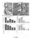 Fig. 09 - HYDROGELS FOR TISSUE REGENERATION