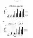 Fig. 07 - Modified polynucleotides encoding aquaporin-5