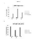 Fig. 10 - Modified polynucleotides encoding aquaporin-5