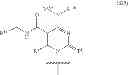 Fig. 112 - Modified polynucleotides encoding aquaporin-5