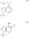 Fig. 113 - Modified polynucleotides encoding aquaporin-5