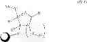 Fig. 115 - Modified polynucleotides encoding aquaporin-5