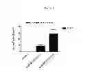 Fig. 34 - Modified polynucleotides encoding aquaporin-5