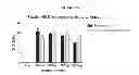 Fig. 67 - Modified polynucleotides encoding aquaporin-5