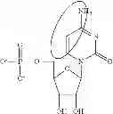 Fig. 86 - Modified polynucleotides encoding aquaporin-5